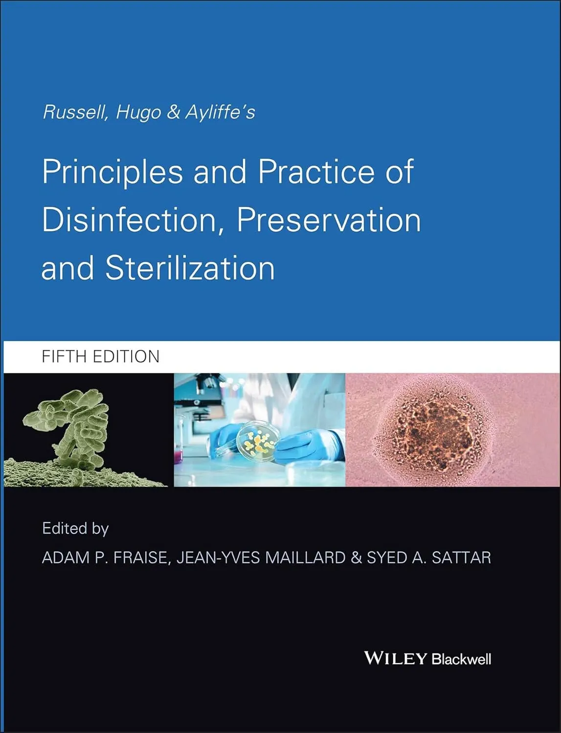 Russell | Hugo and Ayliffe's Principles and Practice of Disinfeciton | Preservation and Sterilization | 5th Edition | Hardcover