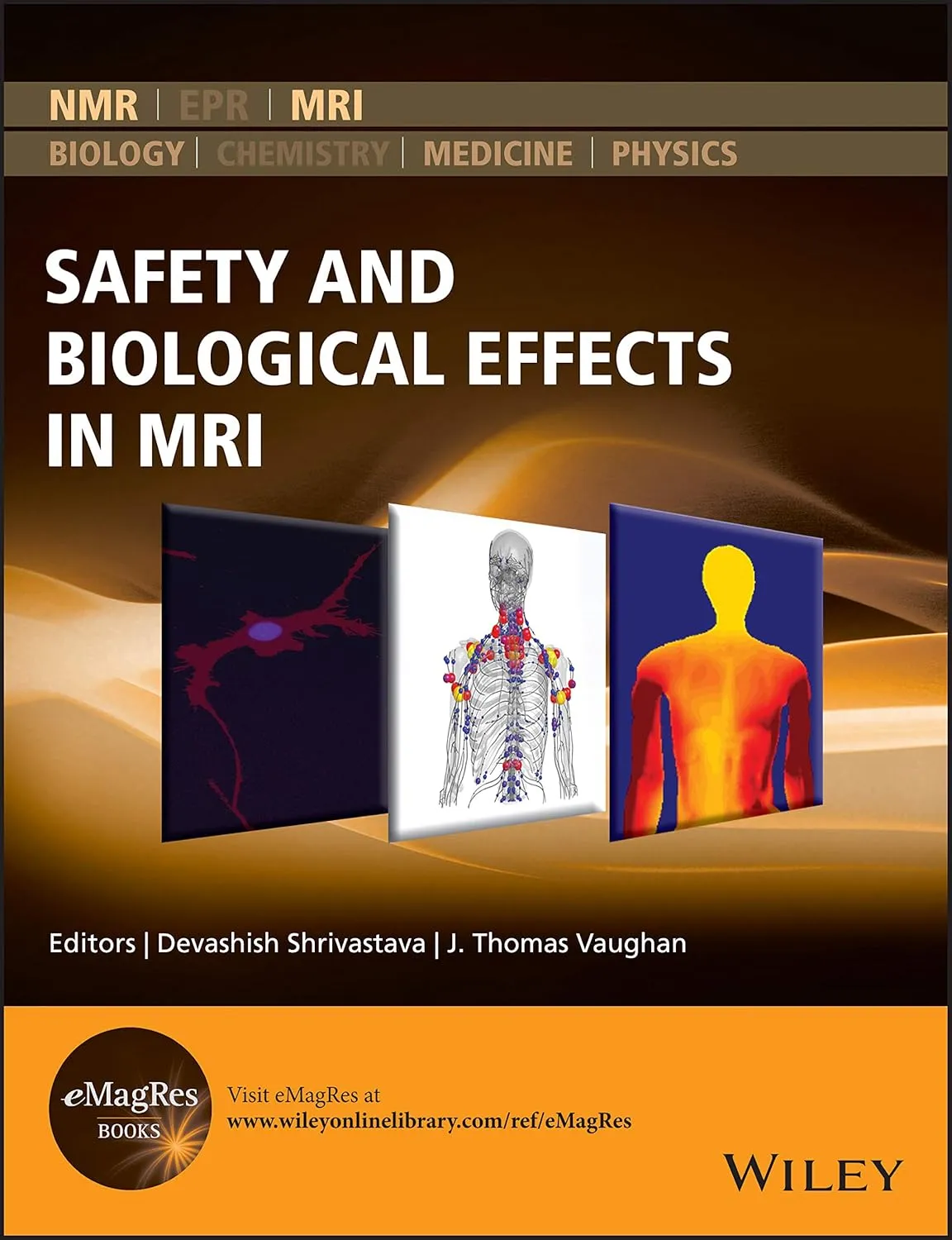 Safety And Biological Effects In Mri | Hardcover