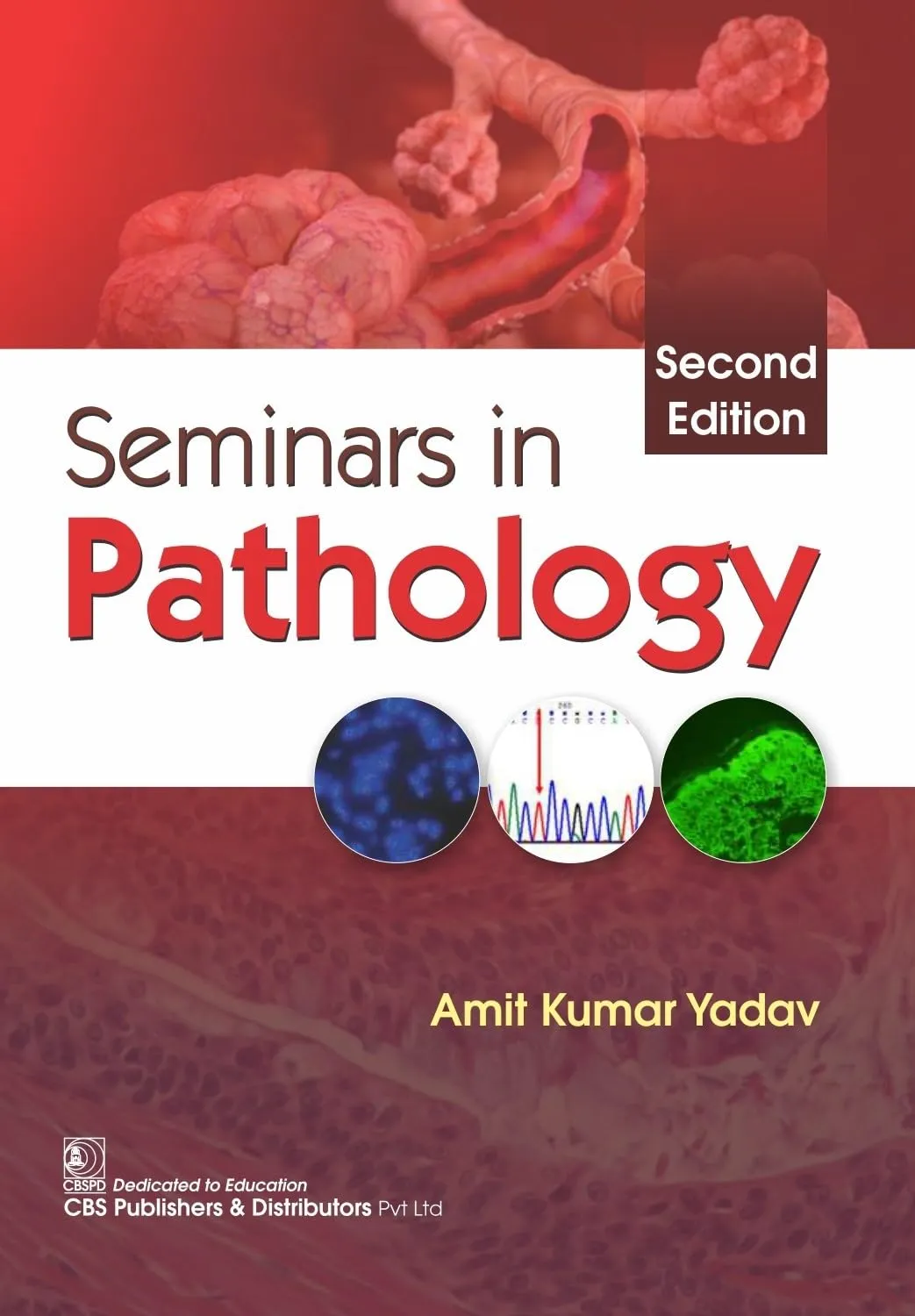 Seminars In Pathology 2nd Edition | Paperback
