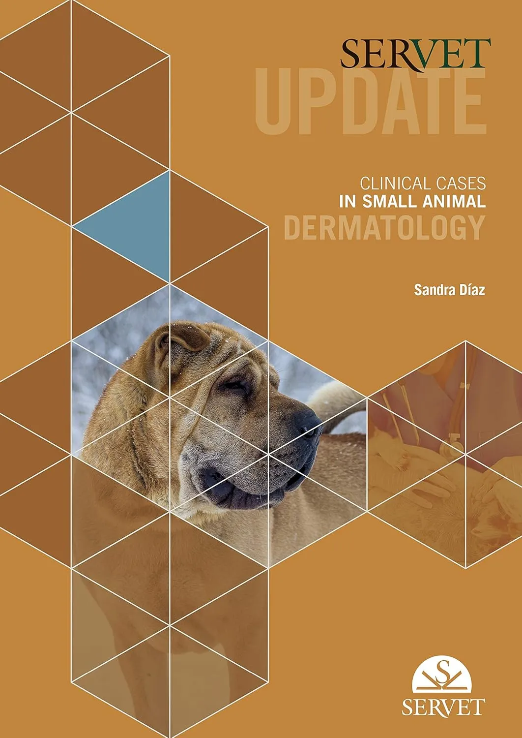 Servet Update Clinical Cases In Small Animal Dermatology | Paperback