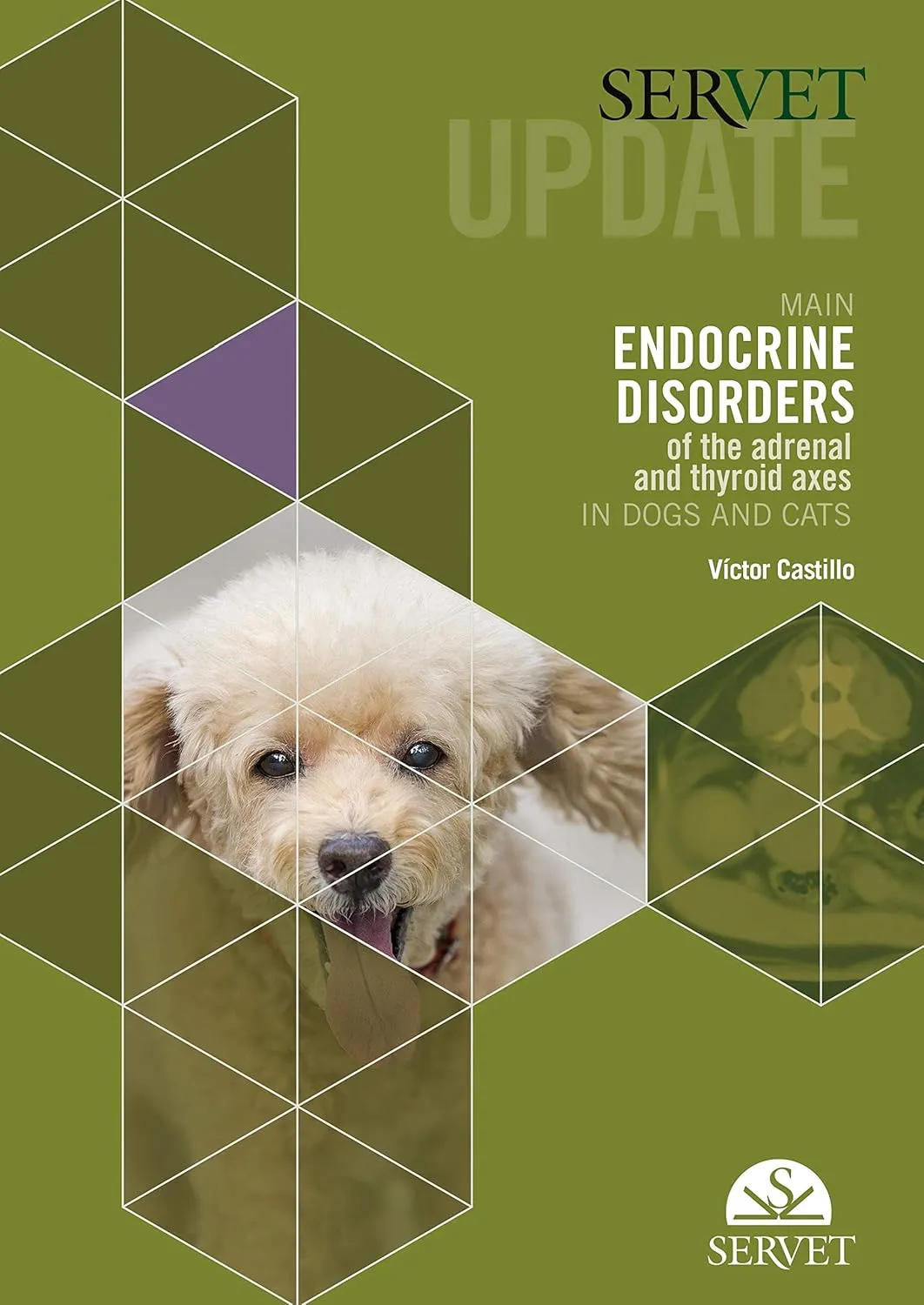 Servet Update Main Endocrine Disorders of the Adrenal and Thyroid Axes In Dogs and Cats | Hardcover