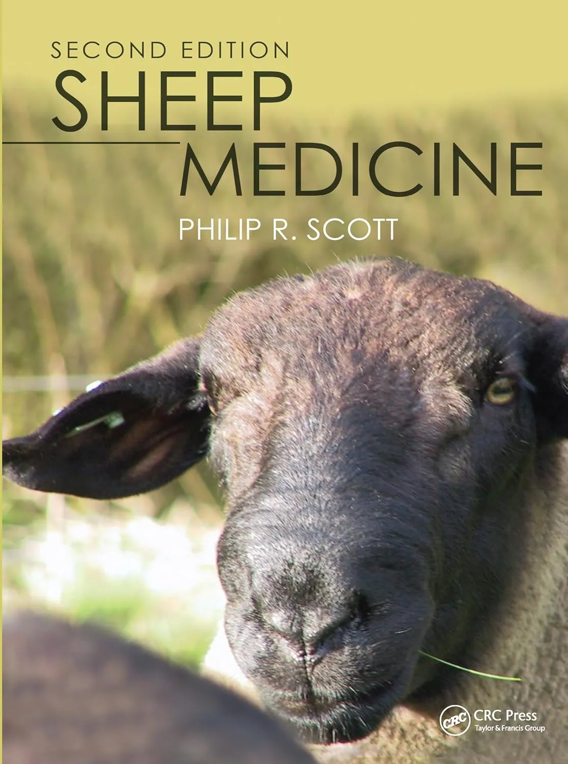 Sheep Medicine 2nd Edition | Paperback