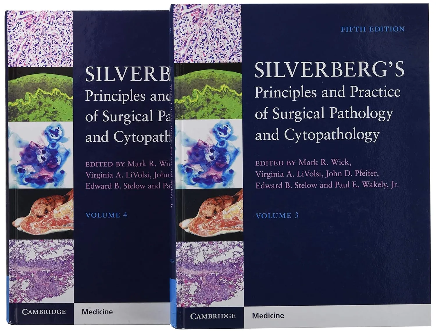 SILVERBERG’S Principles and Practice of Surgical Pathology and Cytopathology | 5th Edition | 4 Volume Set | Hardcover