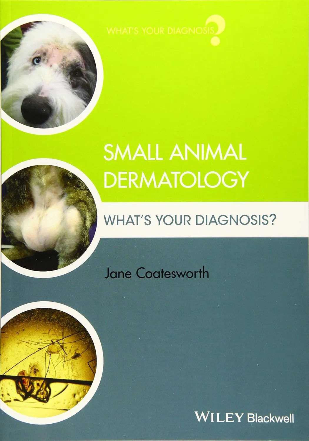 Small Animal Dermatology What's Your Diagnosis | Paperback