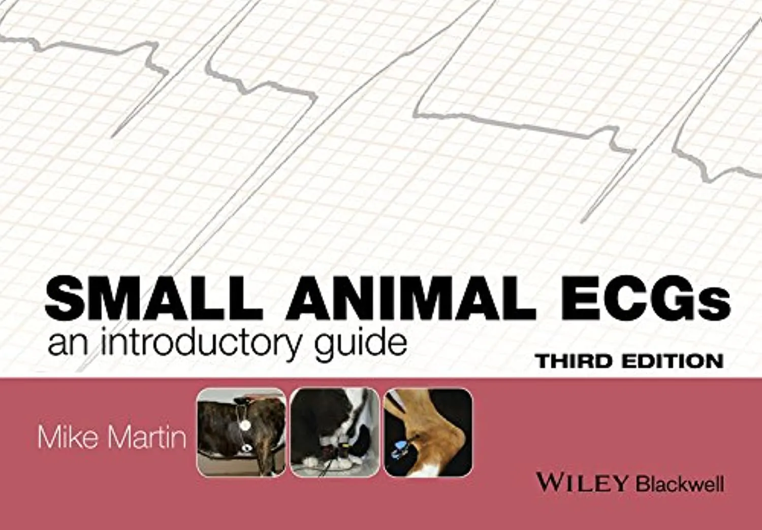 Small Animal ECGs An Introductory Guide | Third Edition | Paperback