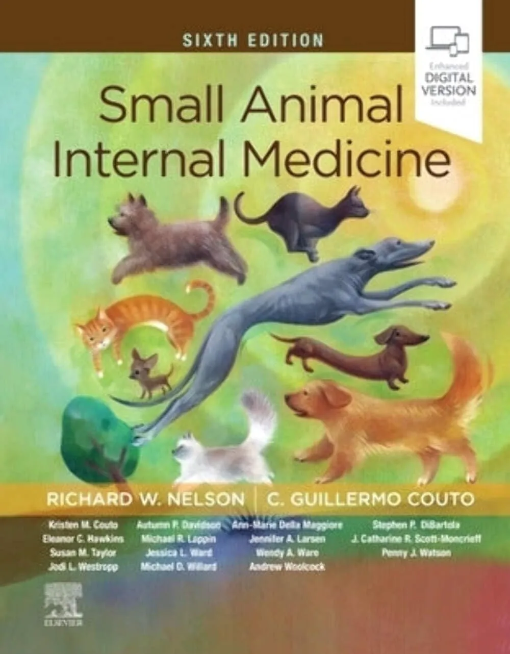 Small Animal Internal Medicine | 6th Edition | Hardcover