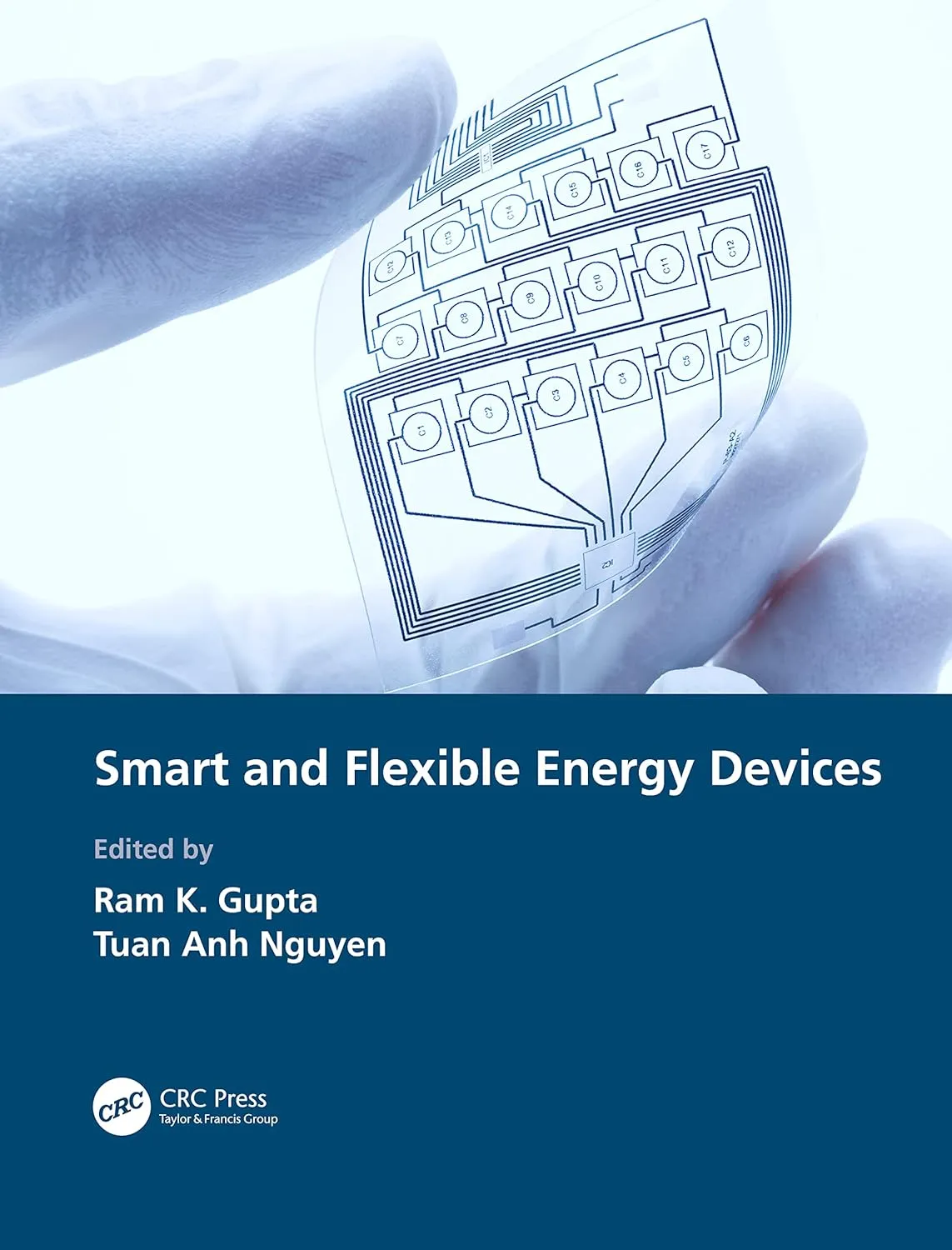Smart And Flexible Energy Devices | Hardcover
