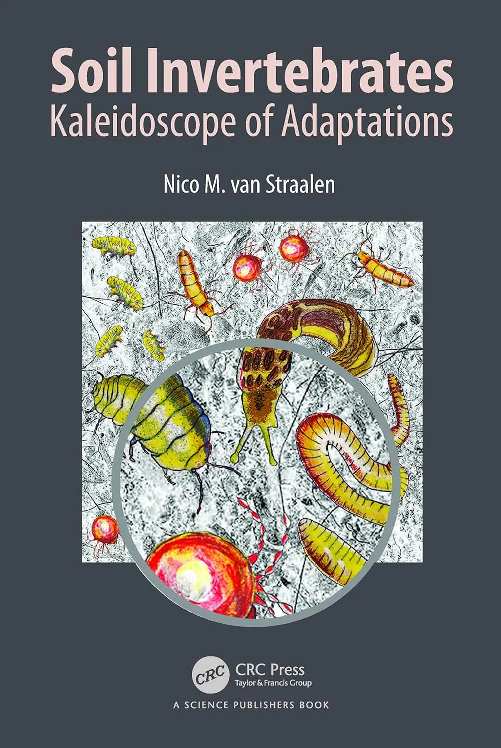 Soil Invertebrates Kaleidoscope Of Adaptations | Hardcover