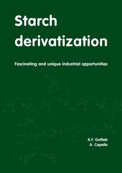 Starch Derivatization | Paperback