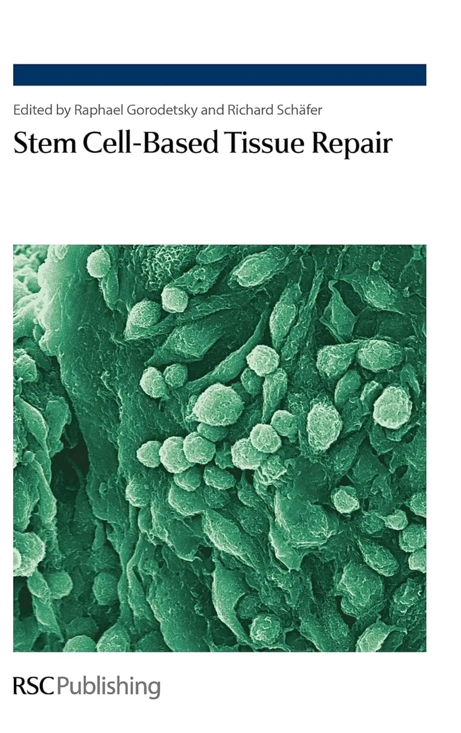 Stem Cell-Based Tissue Repair | Hardcover