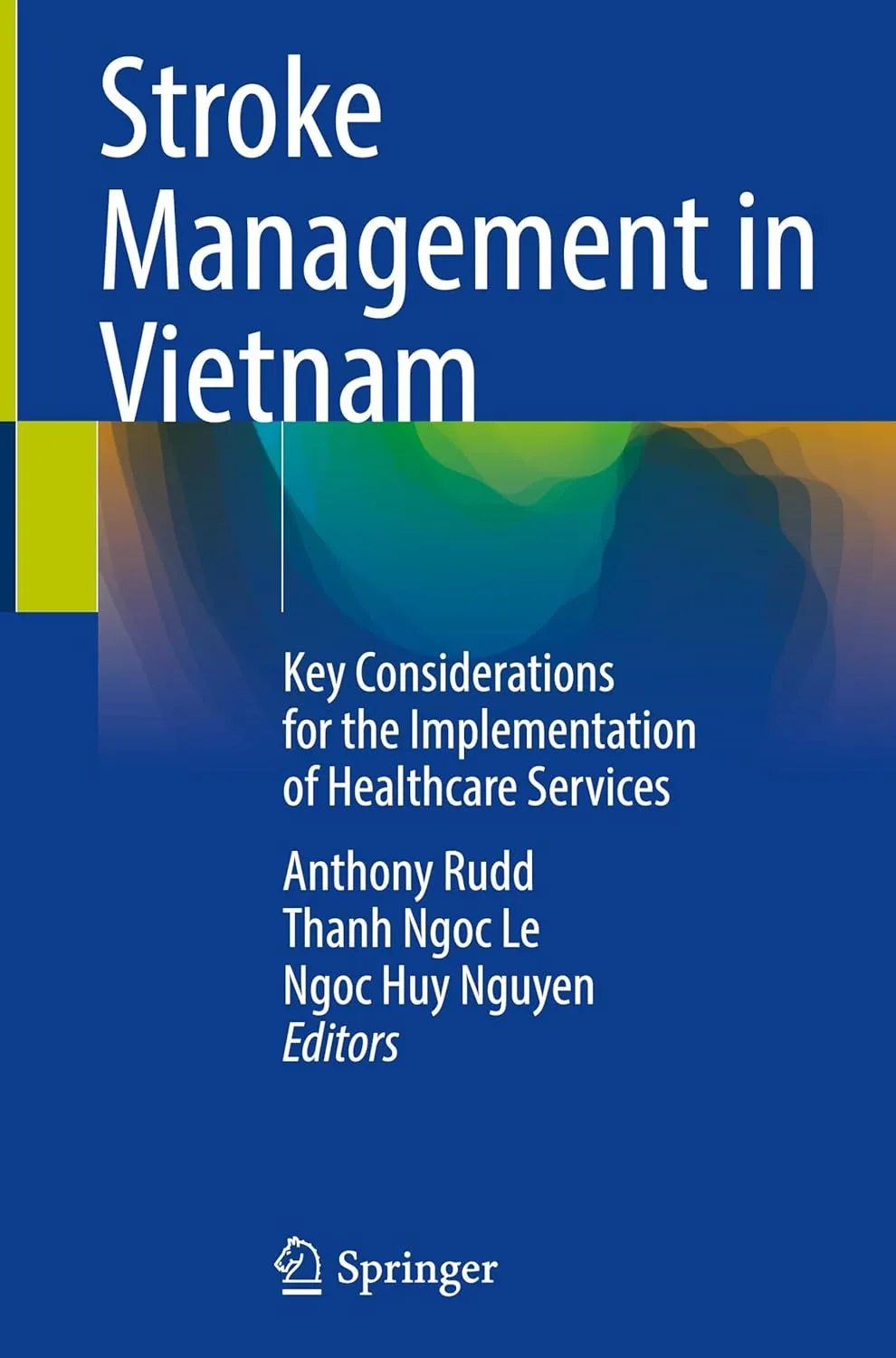 Stroke Management In Vietnam Key Considerations For The Implementation Of Healthcare Services | Hardcover