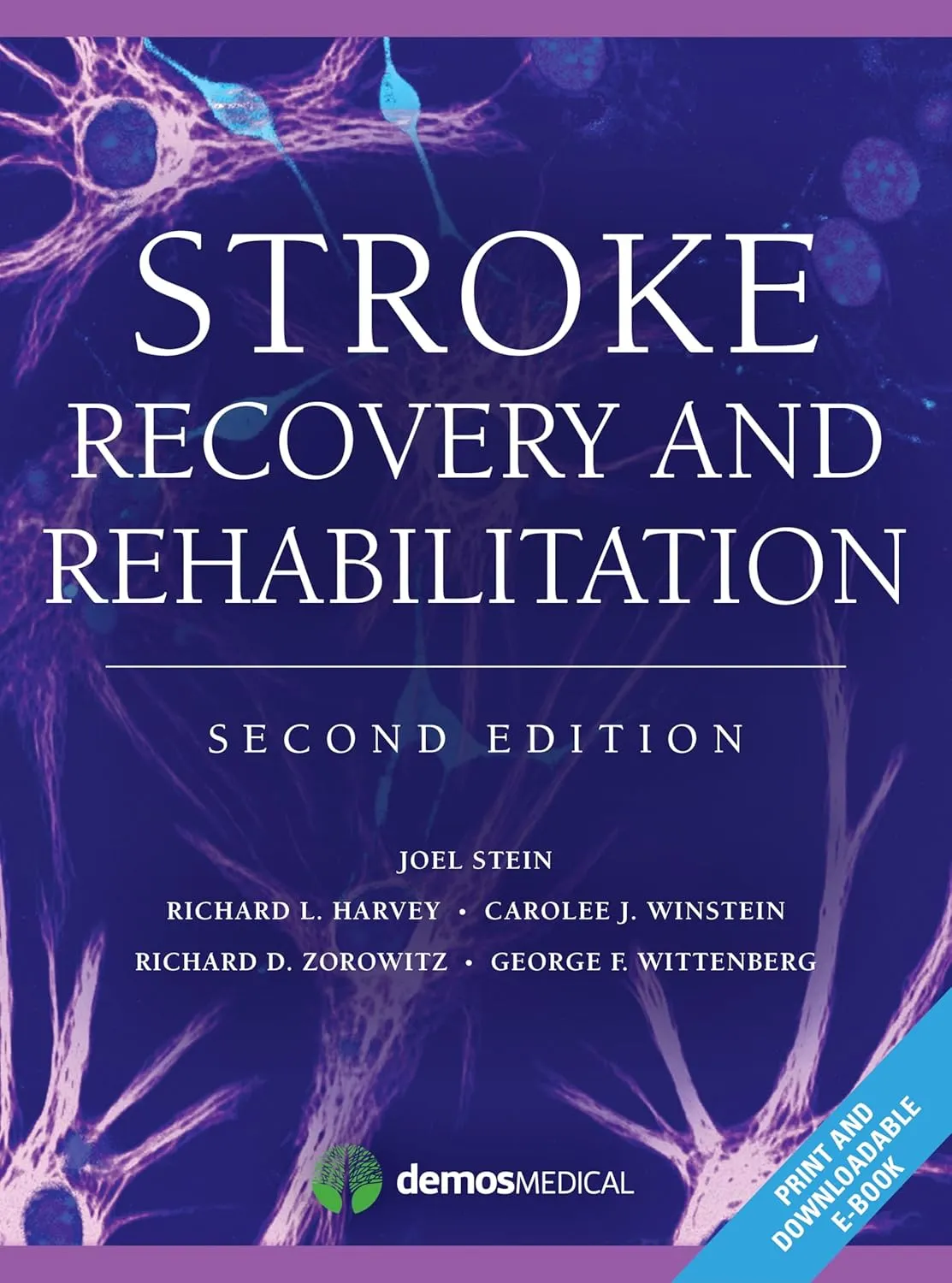 Stroke Recovery and Rehabilitation | 2nd Edition | Hardcover