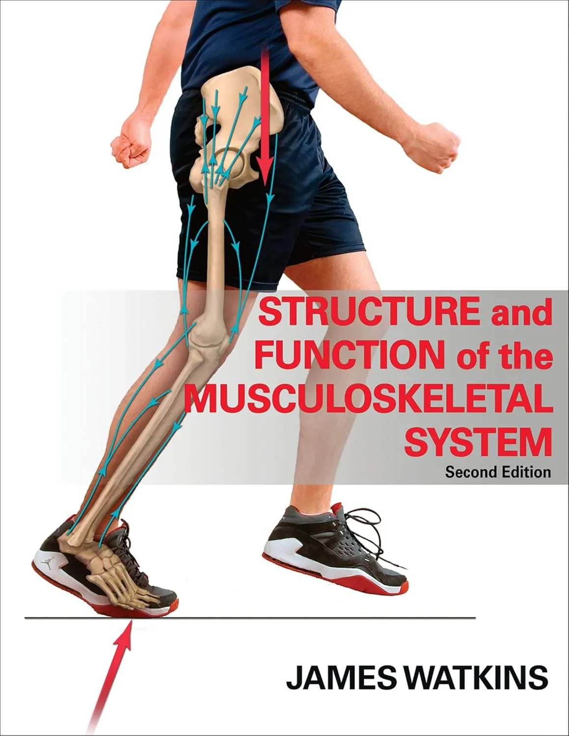 Structure and Function of the Musculoskeletal System | 2nd Edition | Hardcover