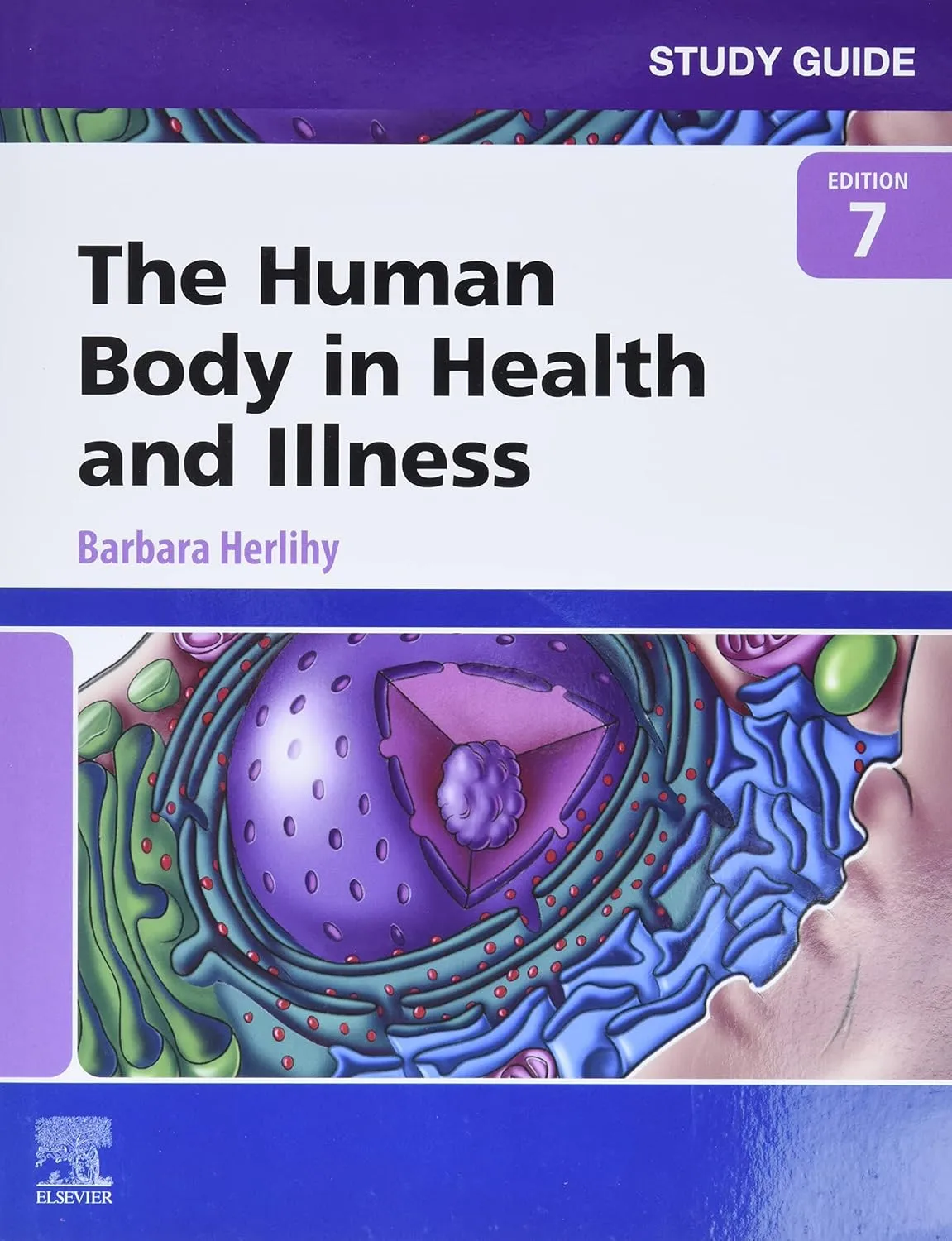 Study Guide For The Human Body In Health And Illness 7th Edition | Paperback