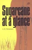 Sugarcane At A Glance | Paperback