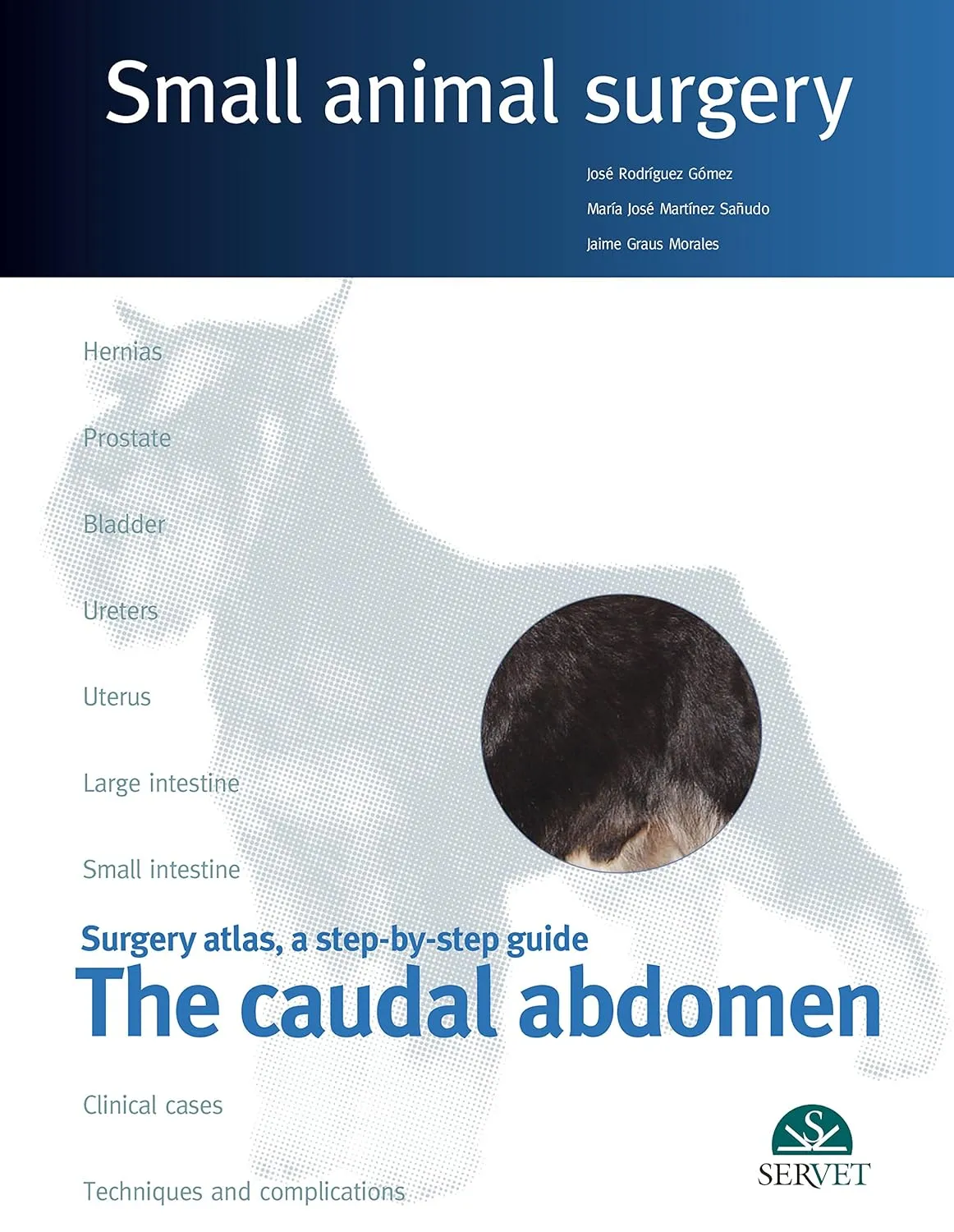 Surgery Atlas | a step-by-step Guide The Caudal Abdomen Small Animal Surgery | Hardcover