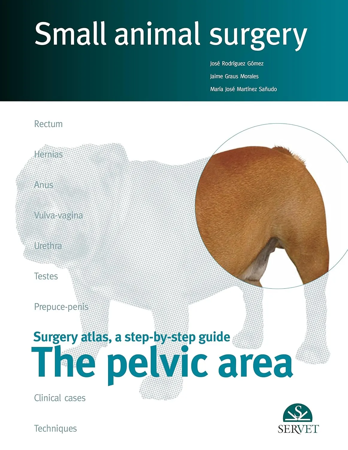 Surgery Atlas | a step-by-step Guide The Pelvic Area Small Animal Surgery | Hardcover