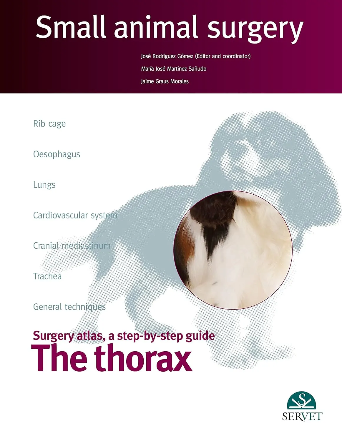 Surgery Atlas | a step-by-step Guide The Thorax Small Animal Surgery | Hardcover