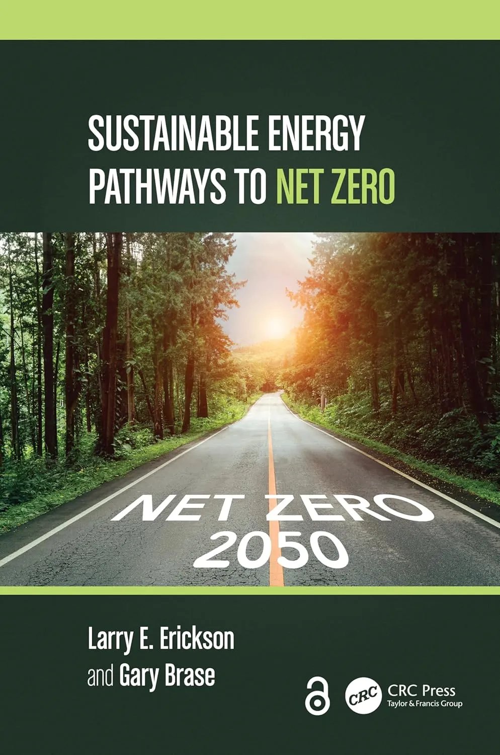 Sustainable Energy Pathways To Net Zero | Hardcover
