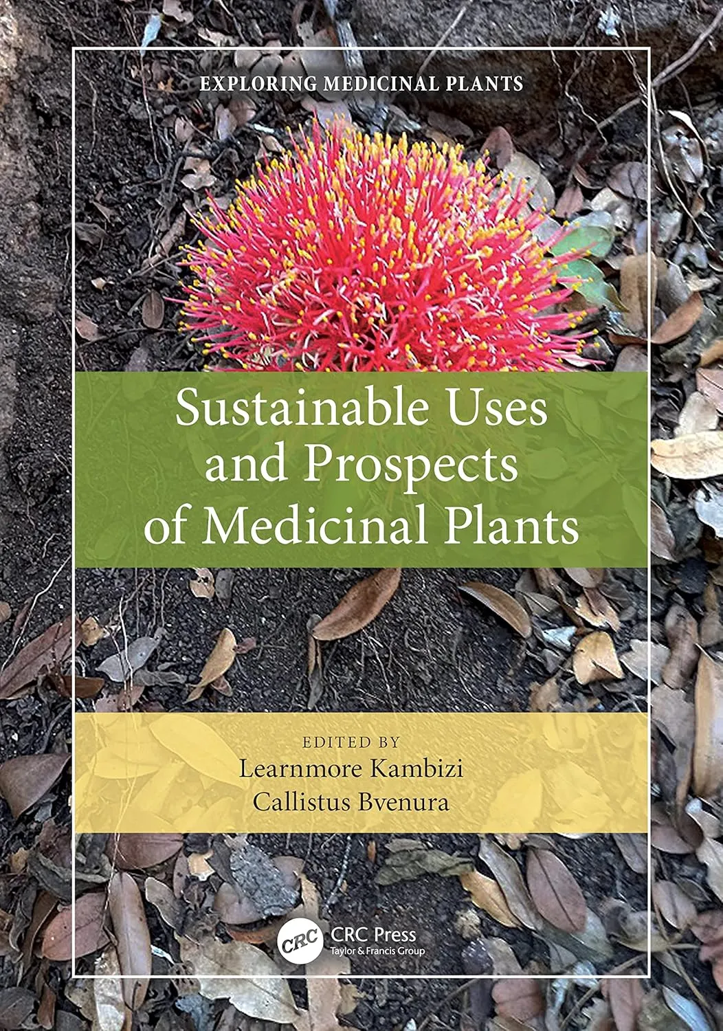 Sustainable Uses And Prospects Of Medicinal Plants | Hardcover