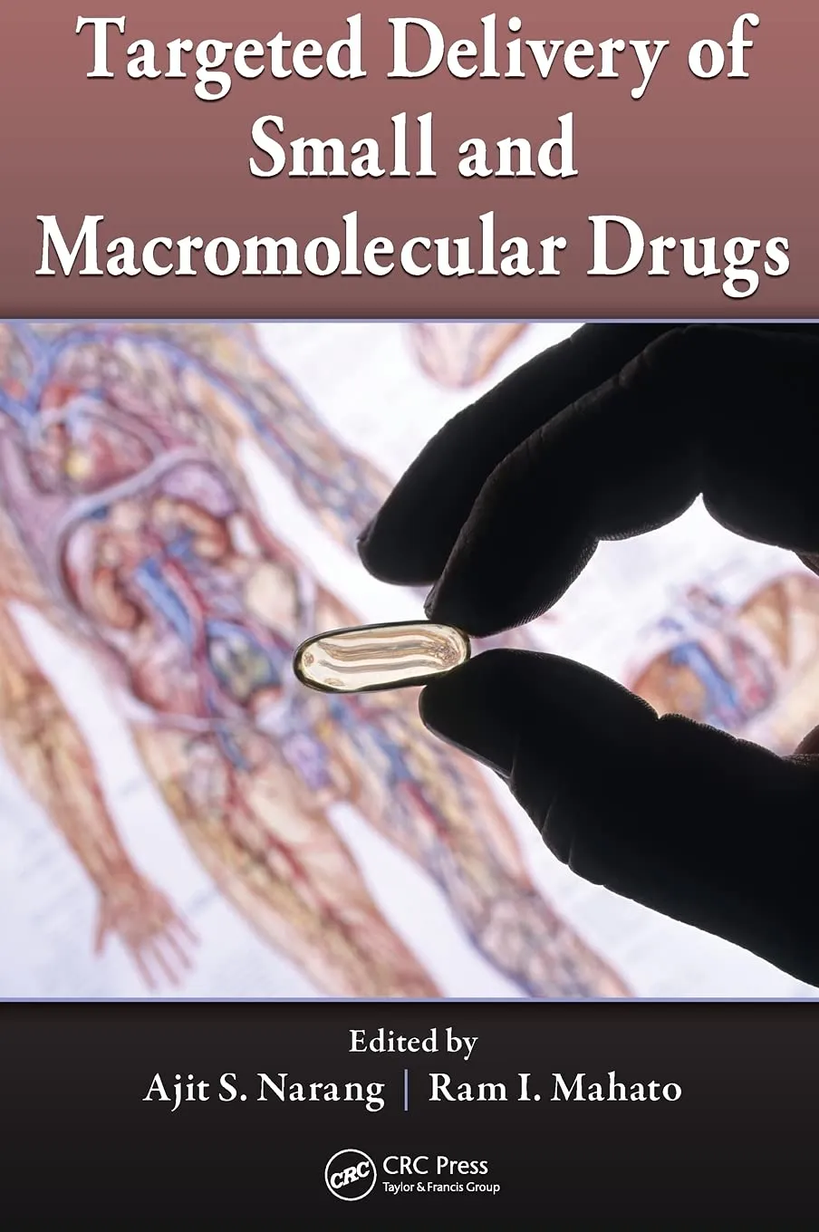 Targeted Delivery of Small and Macromolecular Drugs | Hardcover