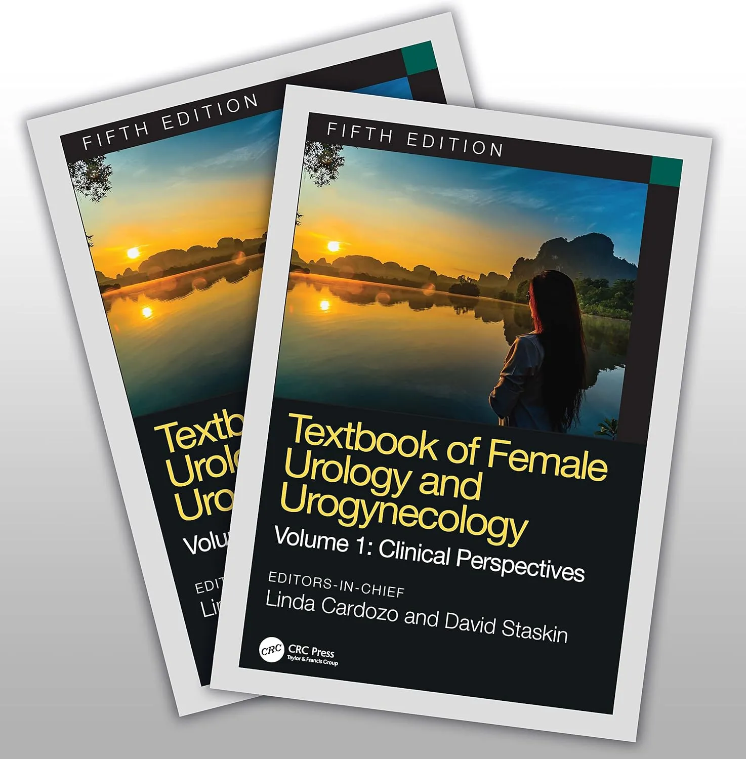 Textbook Of Female Urology And Urogynecology 2 Vol Set 5th Edition | Hardcover
