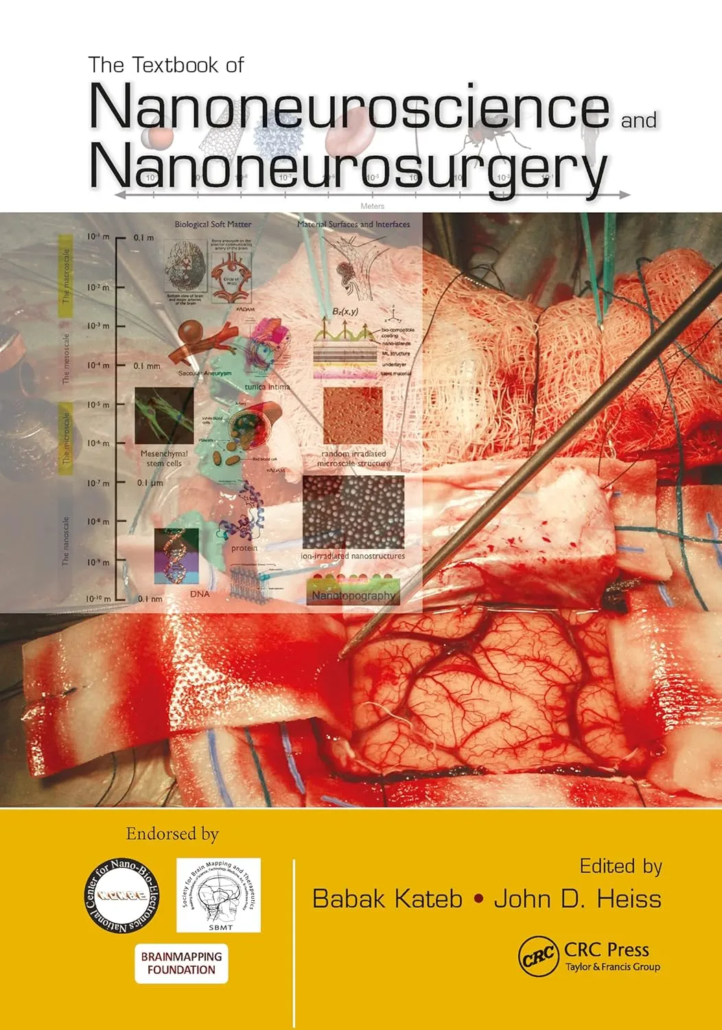 The Textbook of Nanoneuroscience and Nanoneurosurgery | Hardcover