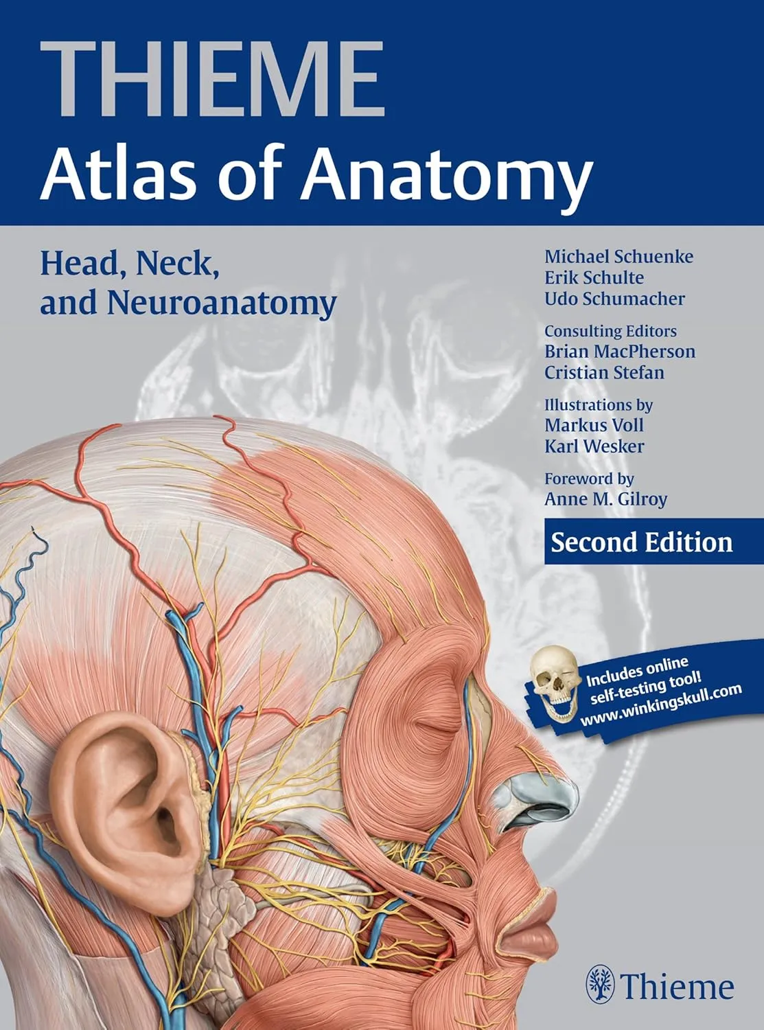 Thieme Atlas of Anatomy Head | Neck and Neuroanatomy | 2nd Edition | Paperback