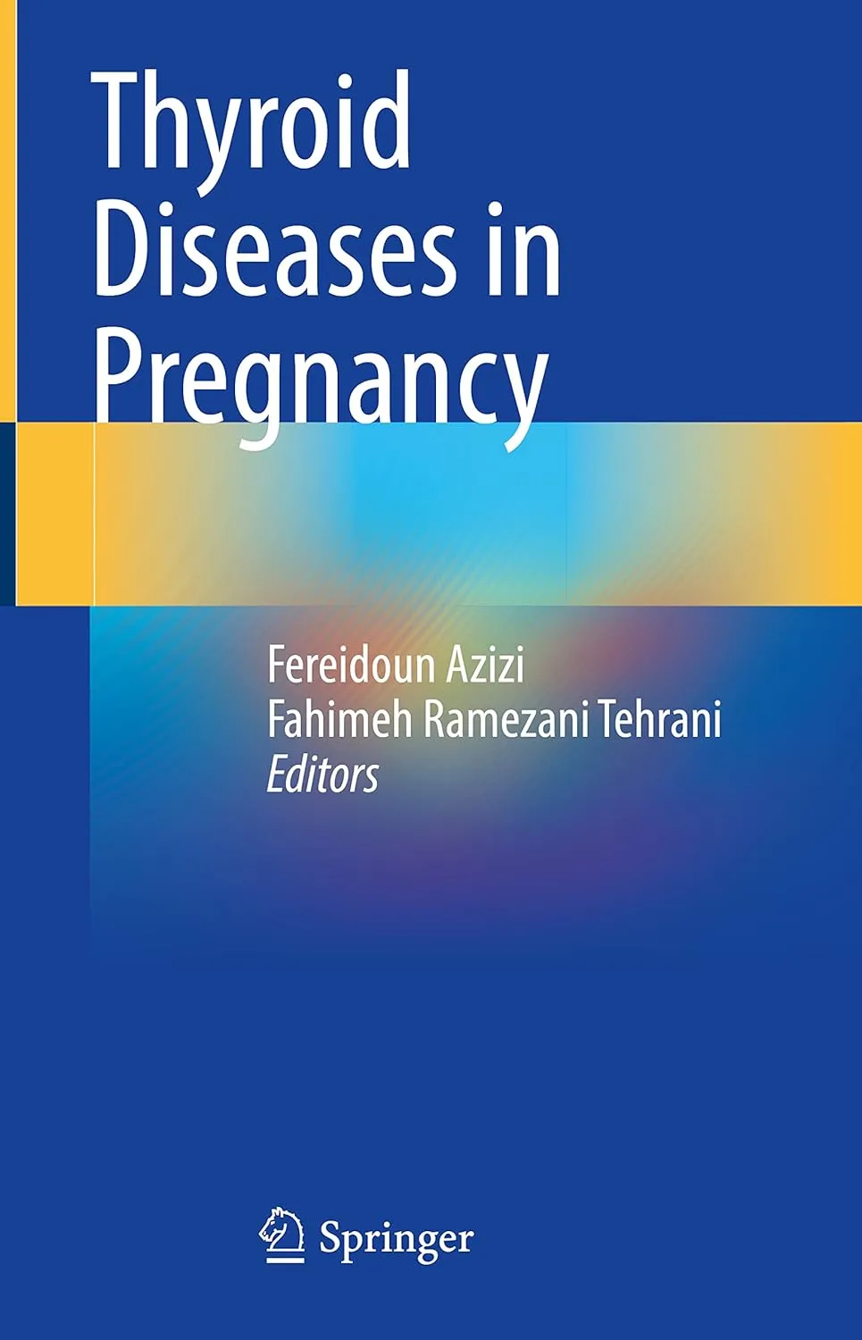 Thyroid Diseases In Pregnancy | Hardcover