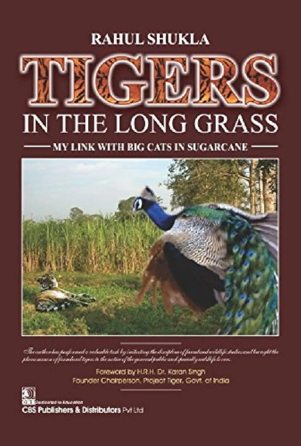 Tigers in the Long Grass- My Link With Big Cats in Sugarcane | Hardcover