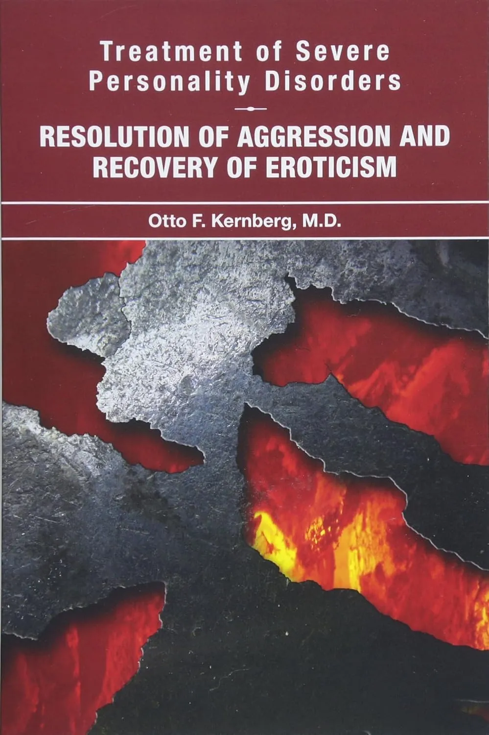 Treatment of Severe Personality Disorders Resolution of Aggression and Recovery of Eroticism | Paperback