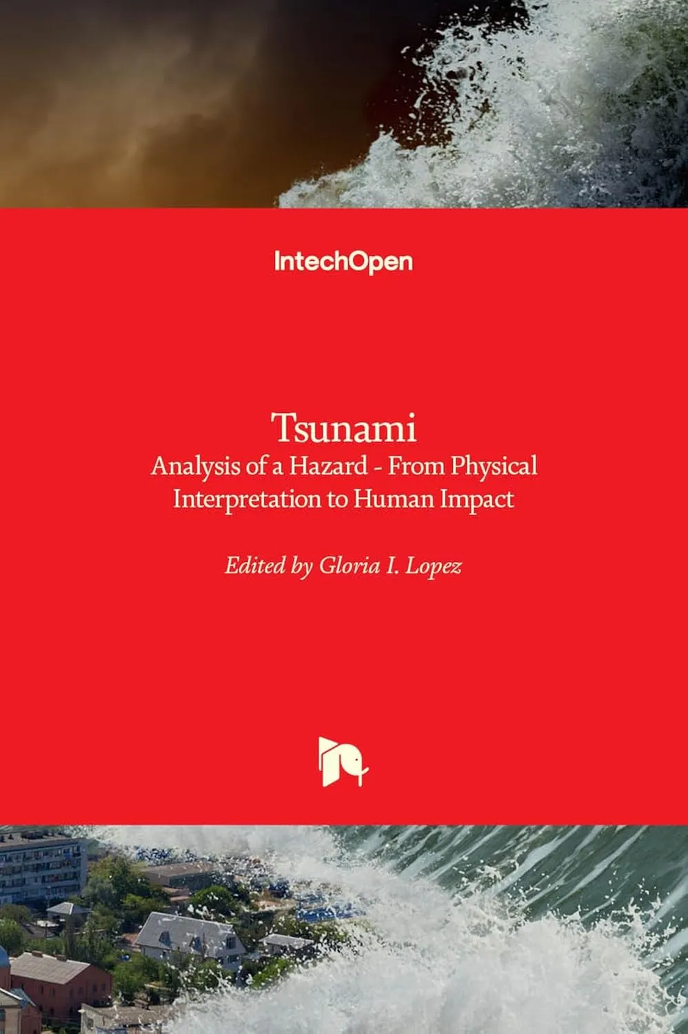 Tsunami Analysis Of A Hazard From Physical Interpretation To Human Impact | Hardcover