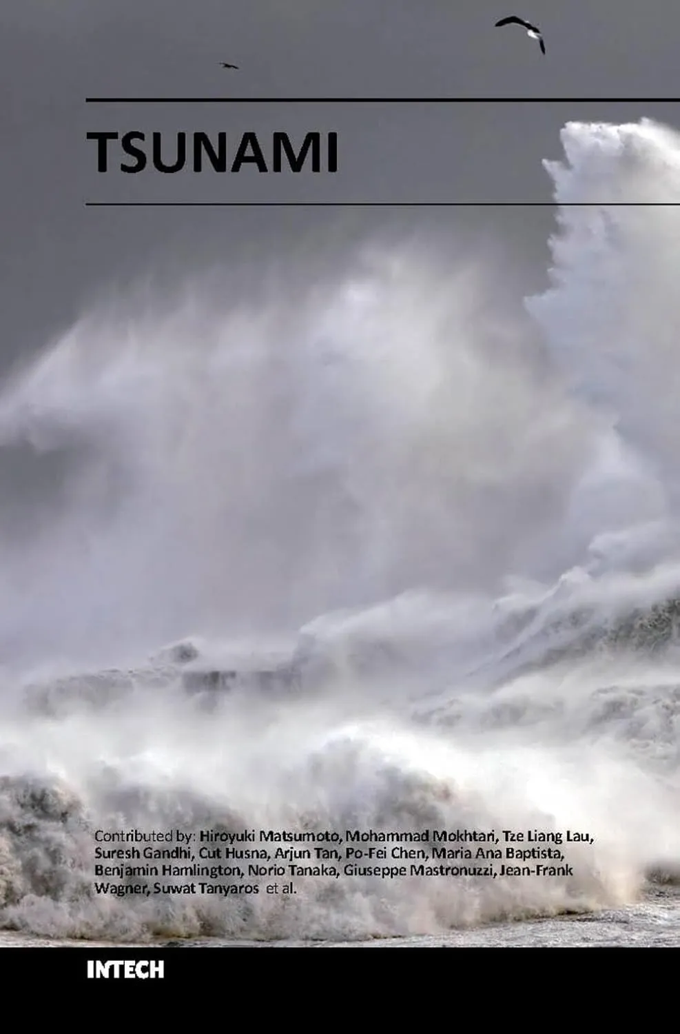 Tsunami | Hardcover