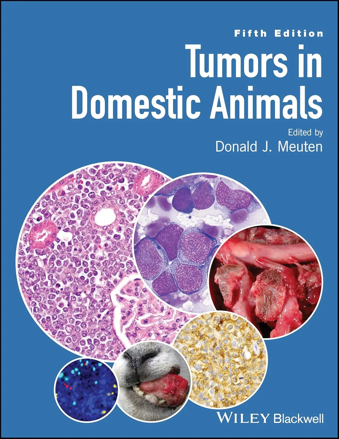 Tumors in Domestic Animals | 5th Edition | Hardcover