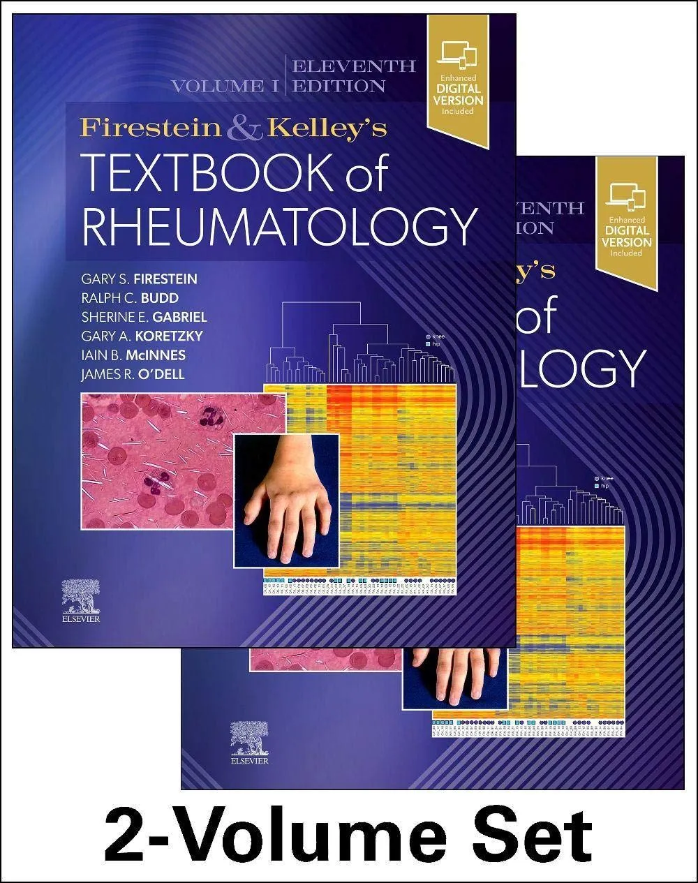(Old)Firestein And Kelley’S Textbook Of Rheumatology, 2-Volume Set | Hardcover