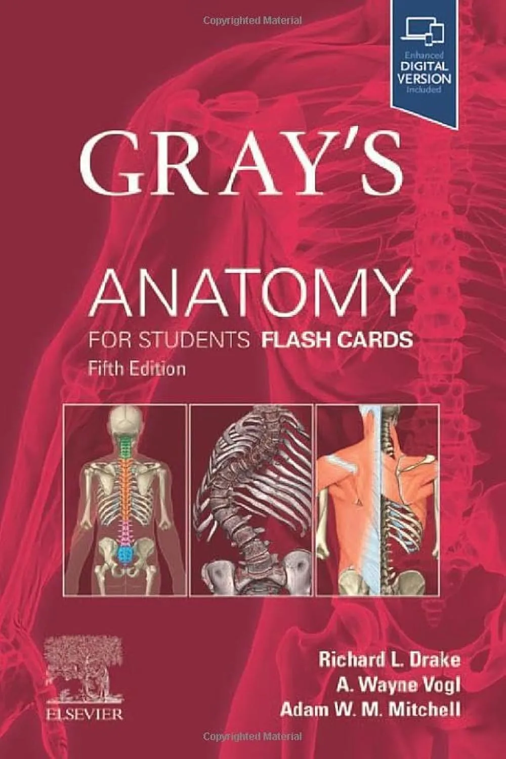 Gray's Anatomy for Students Flash Cards - 5th Edition