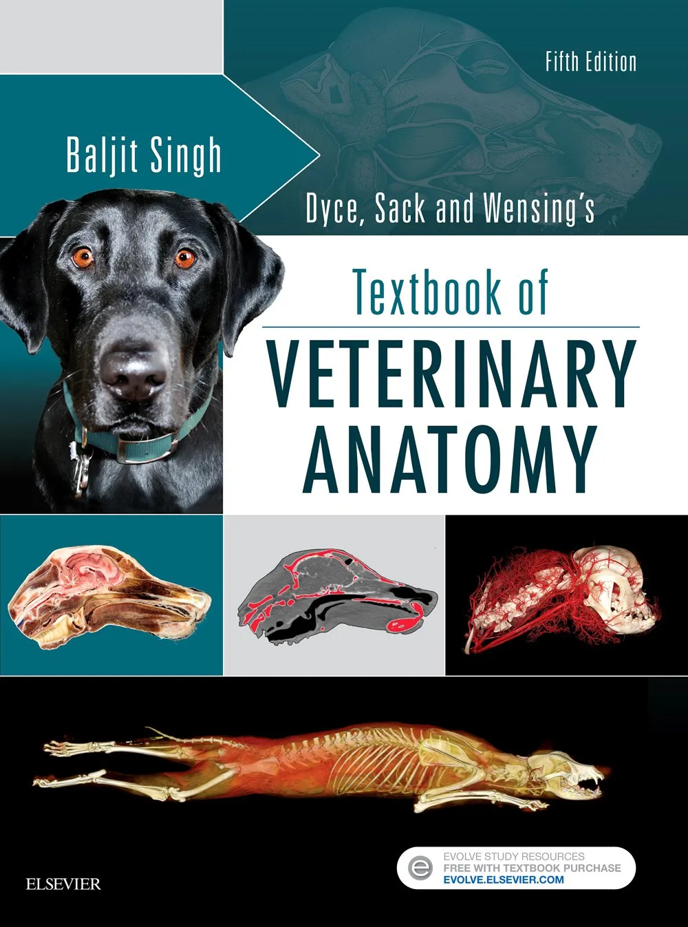Dyce, Sack, and Wensing's Textbook of Veterinary Anatomy- 5th Edition