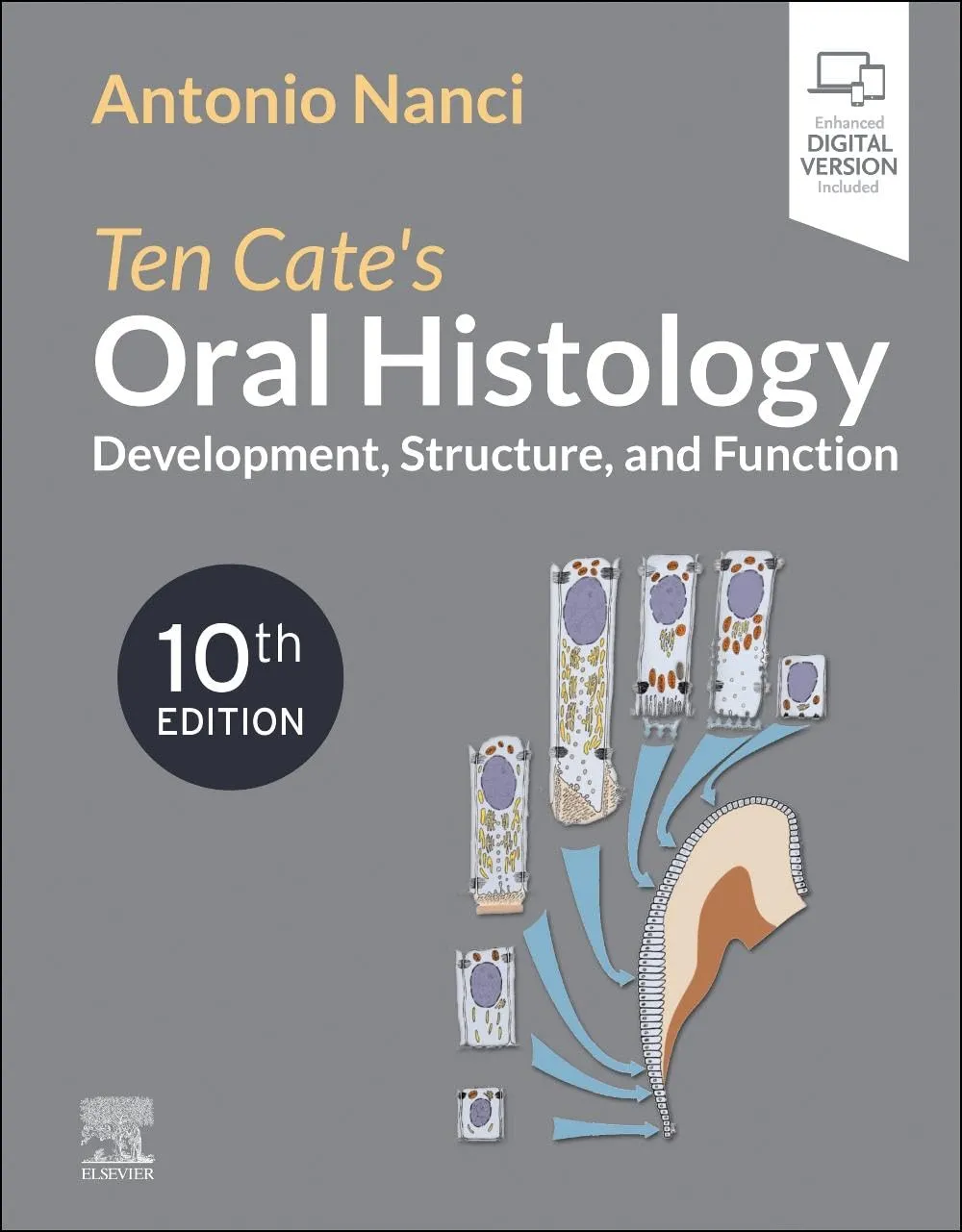 Ten Cate's Oral Histology: Development, Structure, and Function - 10th Edition