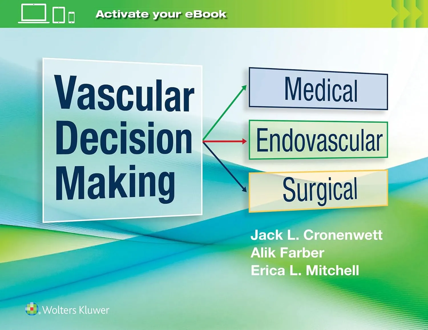 Vascular Decision Making Medical Endovascular Surgical With Access Code | Hardcover