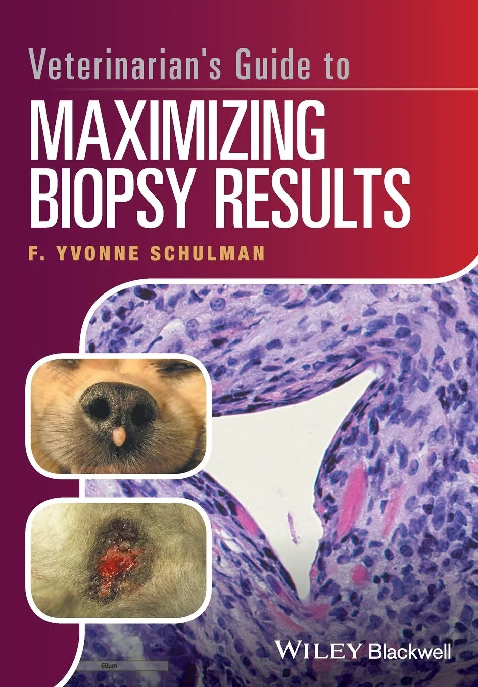 Veterinarian's Guide to Maximizing Biopy Results | Paperback