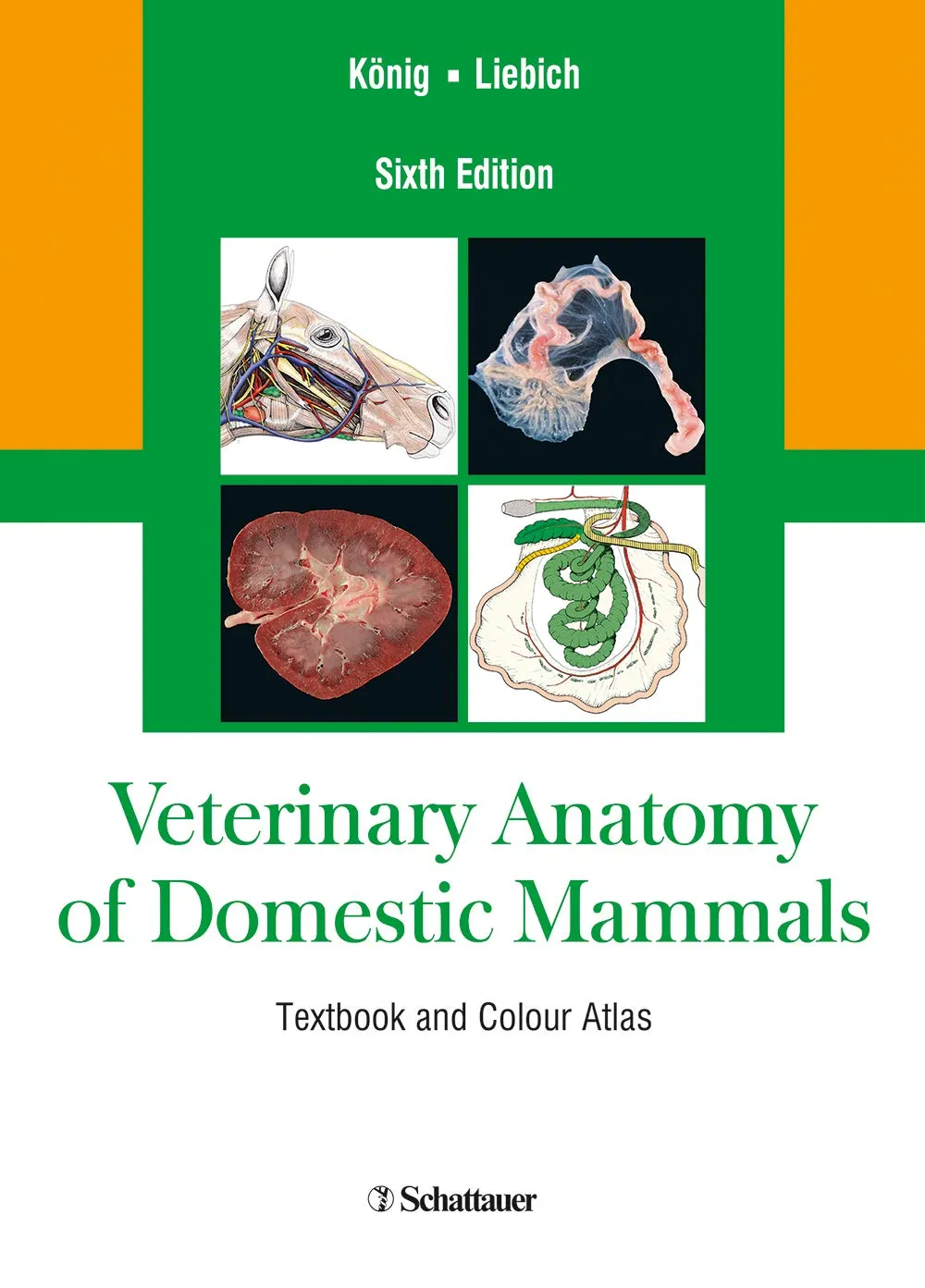Veterinary Anatomy of Domestic Mammals | Hardcover