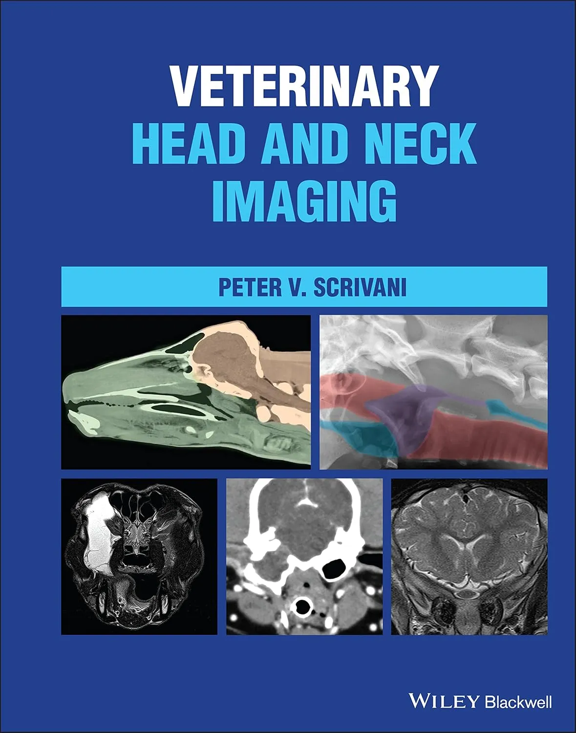 Veterinary Head And Neck Imaging | Hardcover