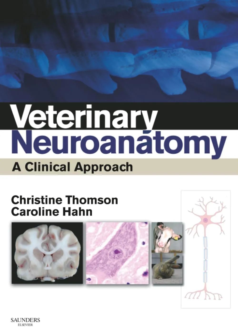 Veterinary Neuroanatomy A Clinical Approach | Paperback