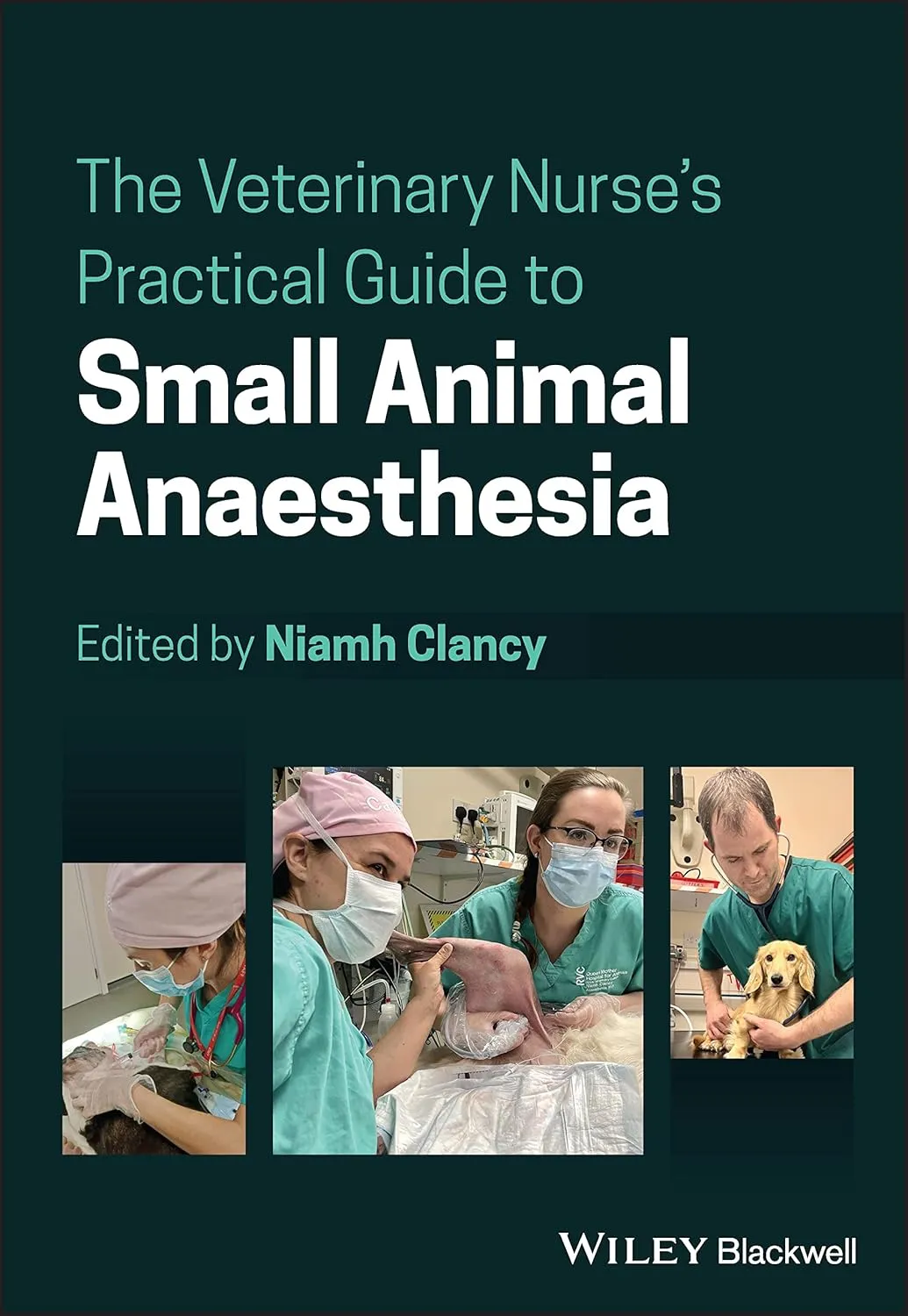 The Veterinary Nurses Practical Guide To Small Animal Anaesthesia | Paperback
