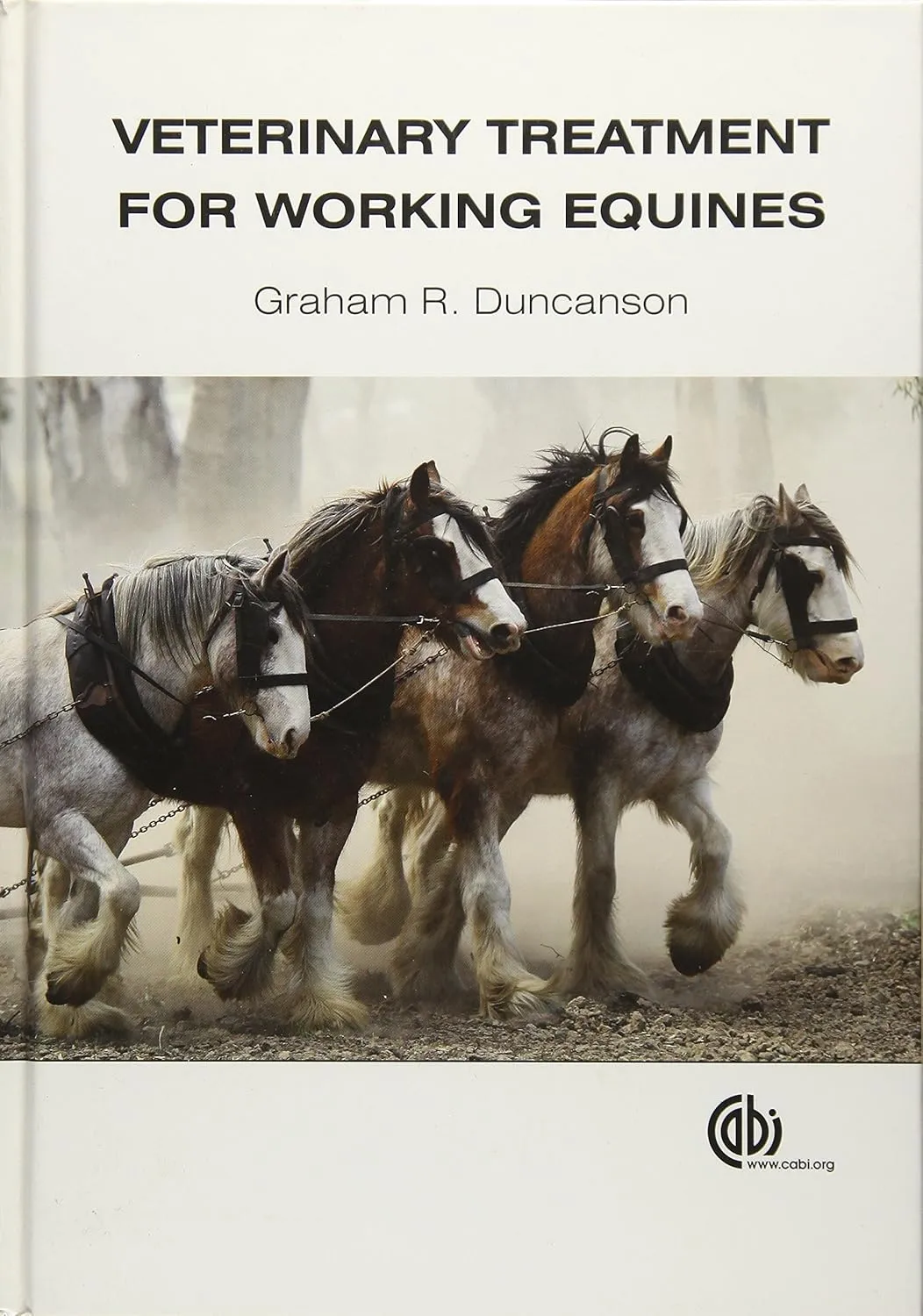 Veterinary Treatment for Working Equines | Hardcover