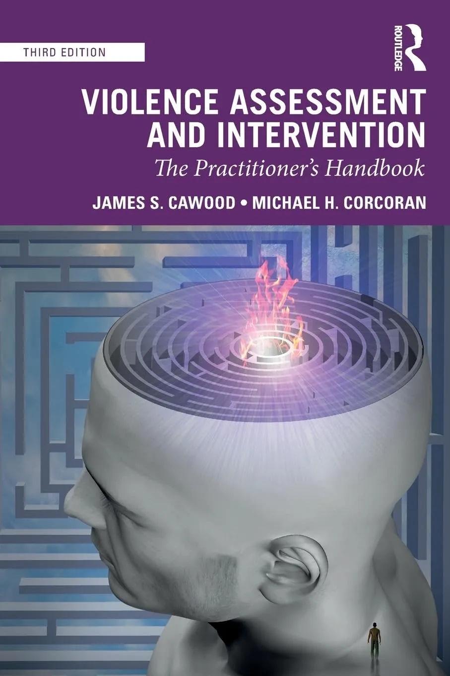Violence Assessment and Intervention The Practitioners Handbook | Third Edition | Paperback