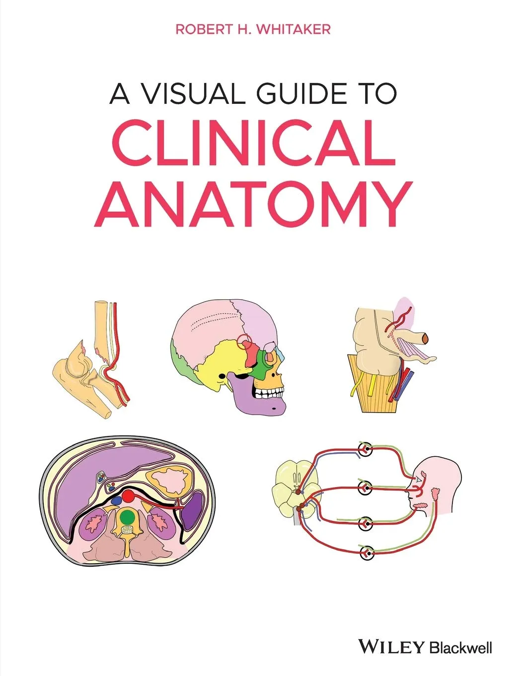 A Visual Guide To Clinical Anatomy | Paperback