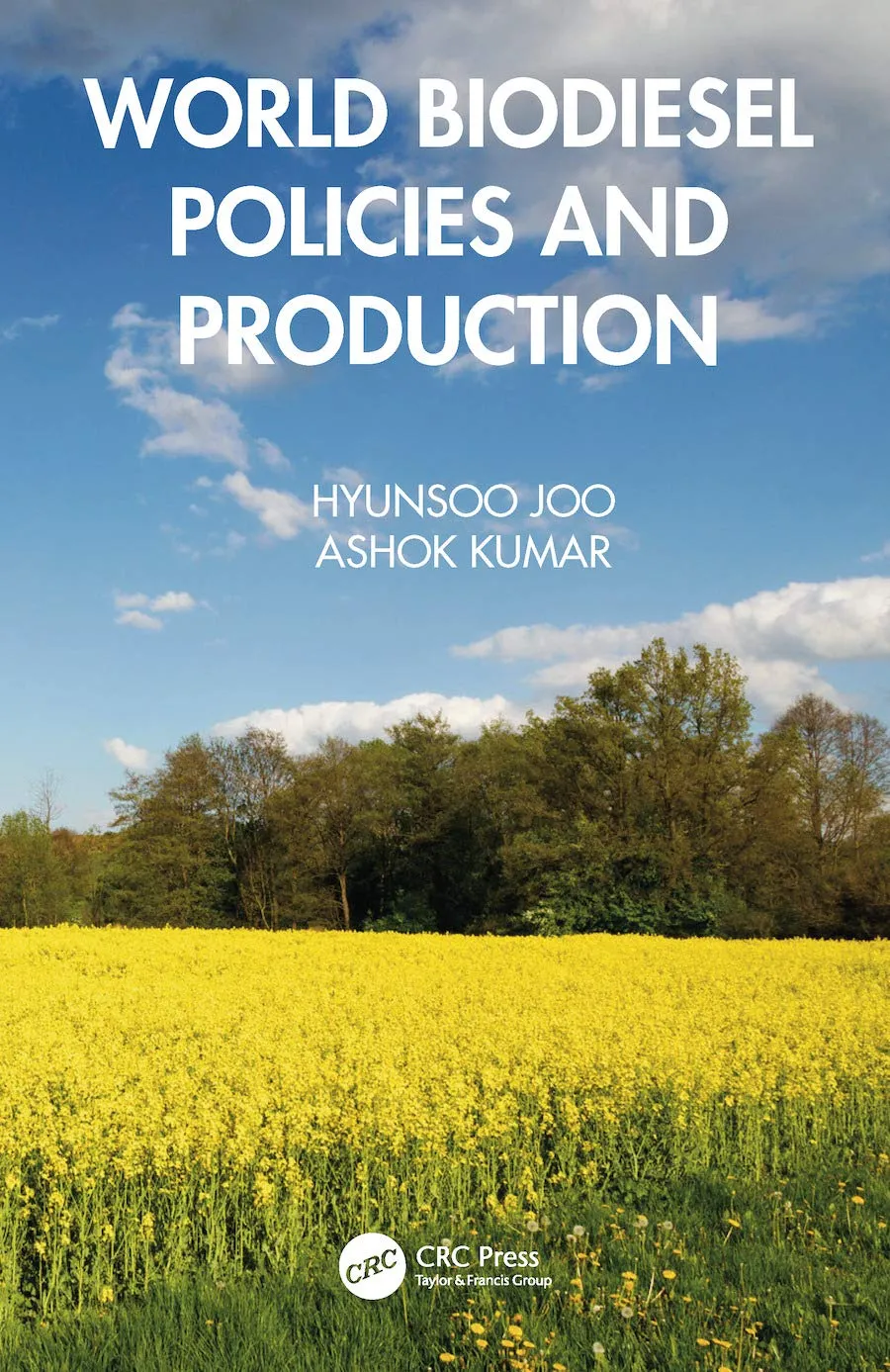 World Biodiesel Policies and Production | Hardcover