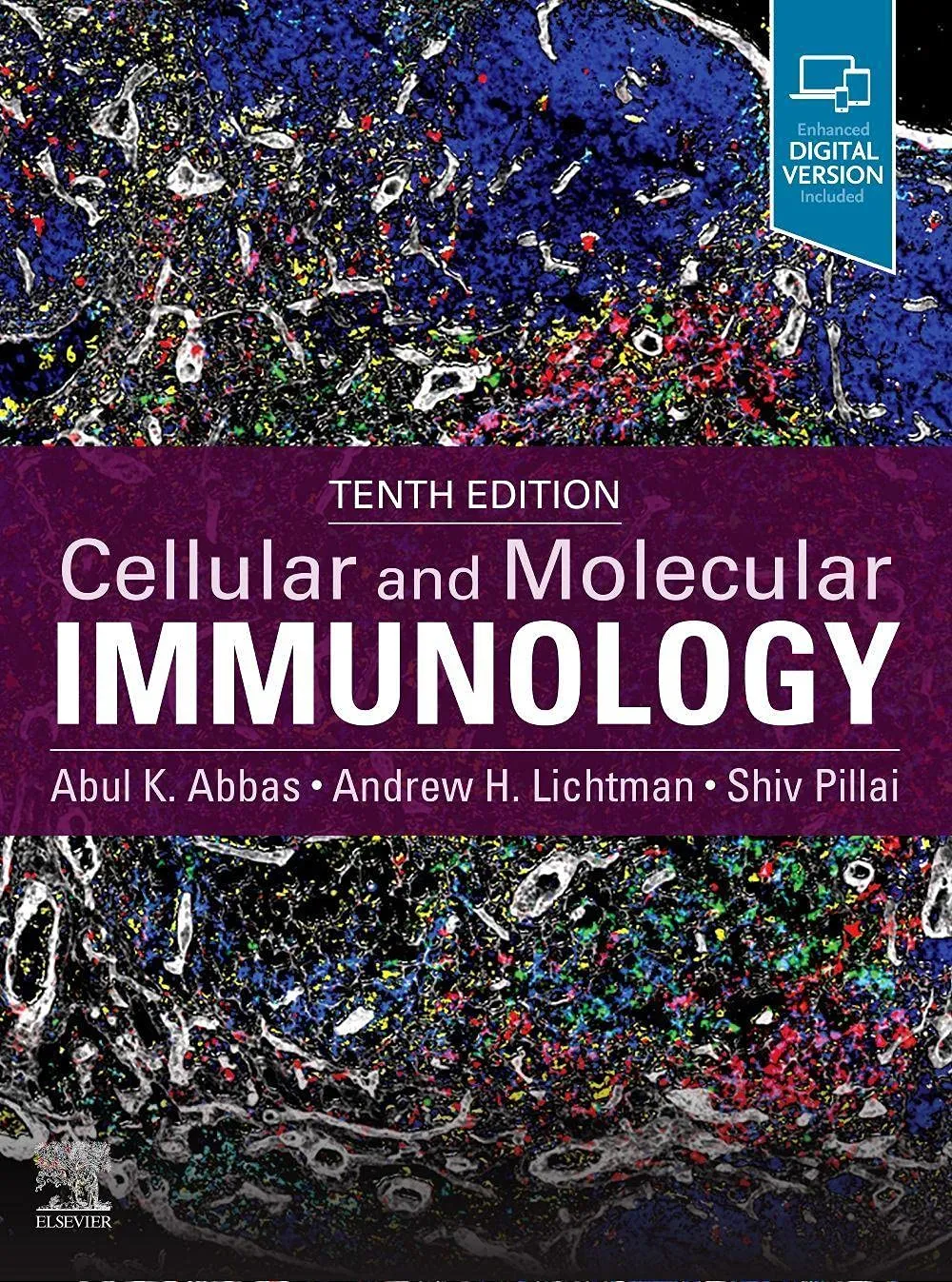 Image of Cellular and Molecular Immunology-10E