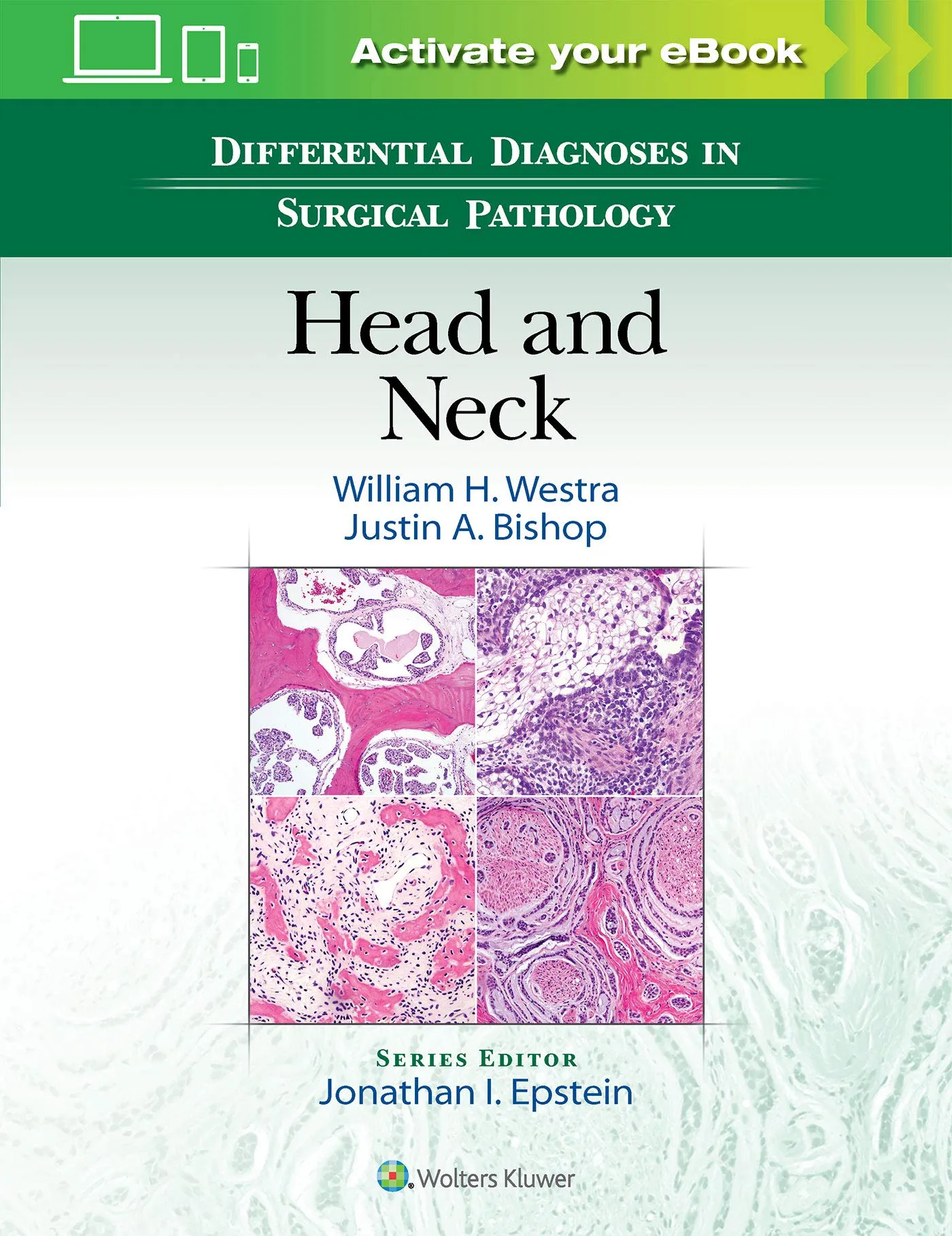 Differential Diagnoses in Surgical Pathology: Head and Neck - 1st Edition